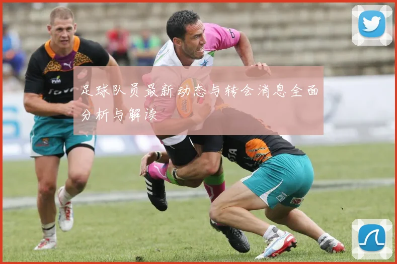 足球队员最新动态与转会消息全面分析与解读