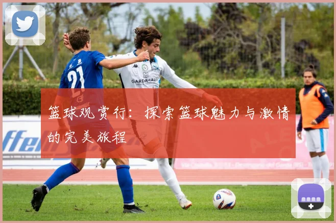 篮球观赏行：探索篮球魅力与激情的完美旅程