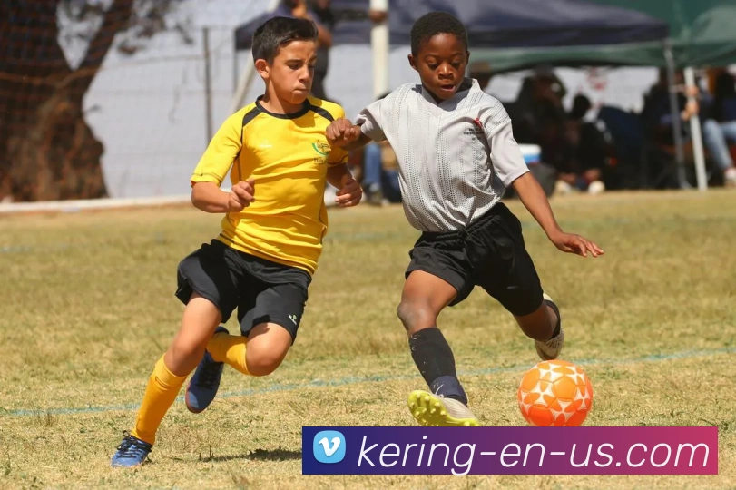 开云体育娱乐APP 封面图